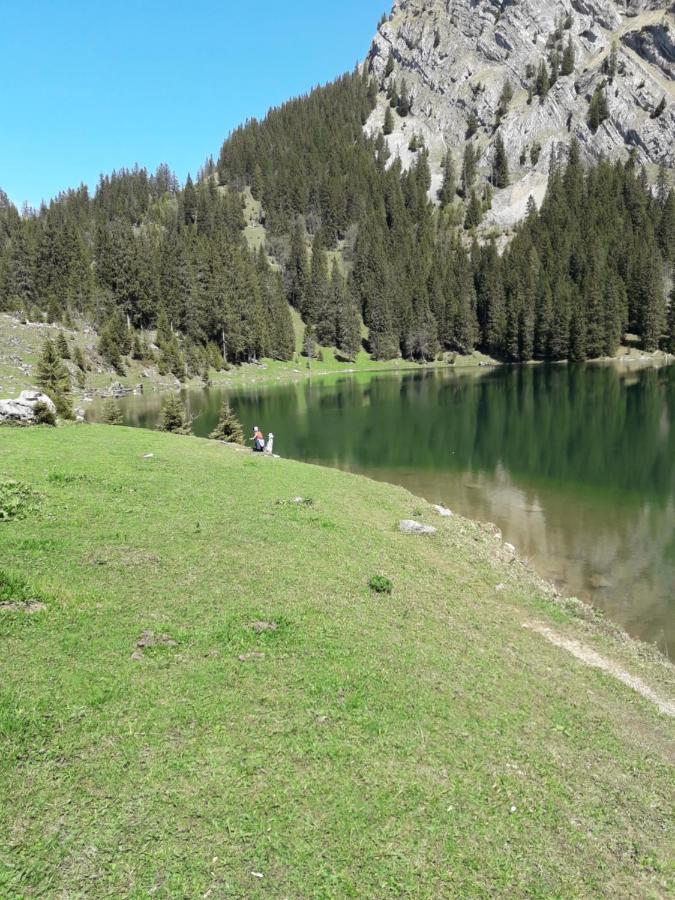 Ferienwohnung Gafner Brienz  Buitenkant foto